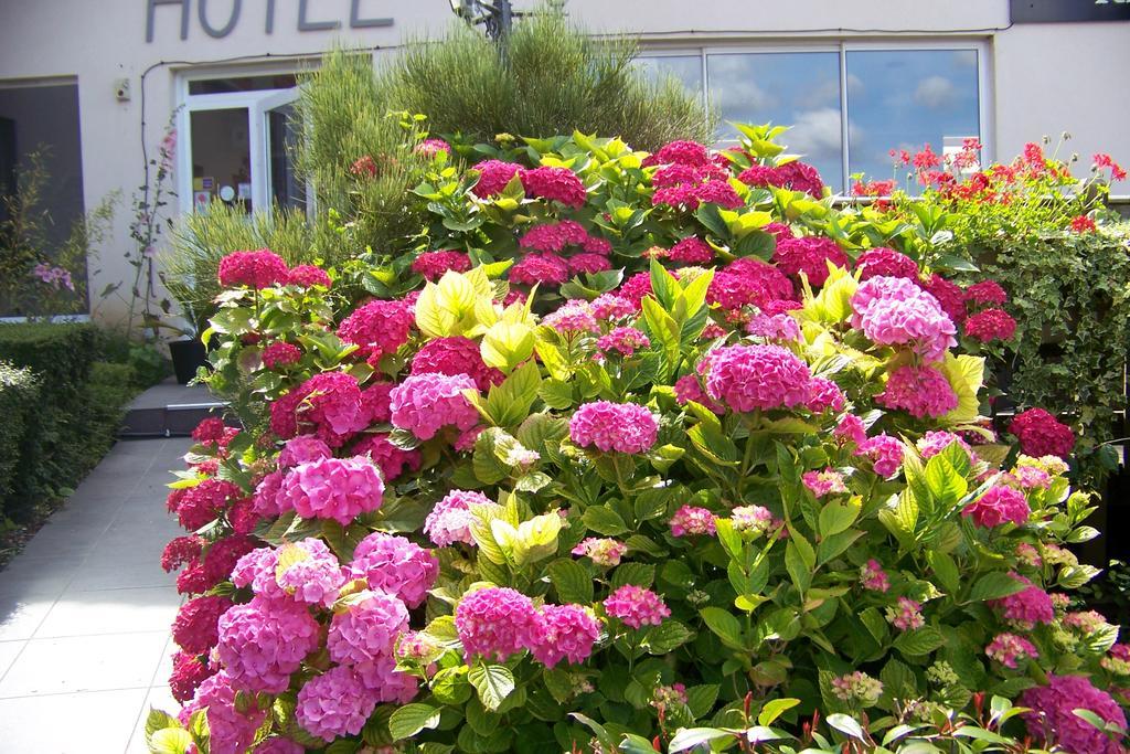 Hotel Bal Tournehem Экстерьер фото